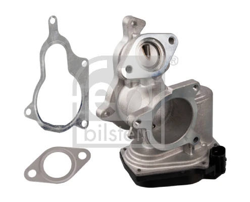 EGR Valve